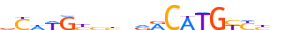 P53.H13INVITRO.0.P.B motif logo (TP53 gene, P53_HUMAN protein)