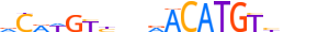 P63.H13INVITRO.0.PS.A motif logo (TP63 gene, P63_HUMAN protein)