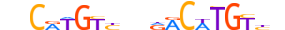 P73.H13INVITRO.0.PS.A motif logo (TP73 gene, P73_HUMAN protein)