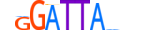 PITX3.H13INVITRO.0.SM.B motif logo (PITX3 gene, PITX3_HUMAN protein)