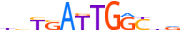 PKNX1.H13INVITRO.0.P.B motif logo (PKNOX1 gene, PKNX1_HUMAN protein)