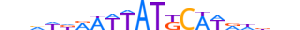 PO3F1.H13INVITRO.1.PS.A motif logo (POU3F1 gene, PO3F1_HUMAN protein)