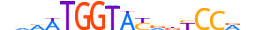 PRDM10.H13INVITRO.0.PSGI.A motif logo (PRDM10 gene, PRD10_HUMAN protein)