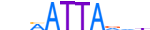 PROP1.H13INVITRO.1.P.C motif logo (PROP1 gene, PROP1_HUMAN protein)