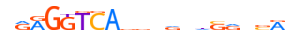 RARA.H13INVITRO.1.P.B motif logo (RARA gene, RARA_HUMAN protein)