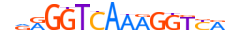 RXRB.H13INVITRO.1.SM.B motif logo (RXRB gene, RXRB_HUMAN protein)