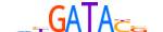 SIX1.H13INVITRO.1.SM.B motif logo (SIX1 gene, SIX1_HUMAN protein)