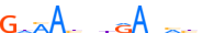 SIX2.H13INVITRO.0.P.B motif logo (SIX2 gene, SIX2_HUMAN protein)