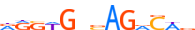 SMAD3.H13INVITRO.2.P.C motif logo (SMAD3 gene, SMAD3_HUMAN protein)