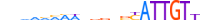 SOX10.H13INVITRO.0.PSM.A motif logo (SOX10 gene, SOX10_HUMAN protein)