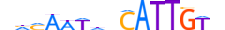 SOX14.H13INVITRO.0.SM.B motif logo (SOX14 gene, SOX14_HUMAN protein)