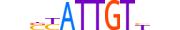 SOX3.H13INVITRO.0.PM.A motif logo (SOX3 gene, SOX3_HUMAN protein)