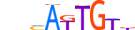 SOX7.H13INVITRO.0.PS.A motif logo (SOX7 gene, SOX7_HUMAN protein)