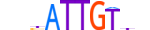 SOX9.H13INVITRO.1.PS.A motif logo (SOX9 gene, SOX9_HUMAN protein)