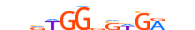 SRBP2.H13INVITRO.1.P.B motif logo (SREBF2 gene, SRBP2_HUMAN protein)