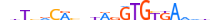 TBX19.H13INVITRO.0.PS.A motif logo (TBX19 gene, TBX19_HUMAN protein)