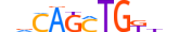 TCF21.H13INVITRO.0.PS.A motif logo (TCF21 gene, TCF21_HUMAN protein)