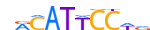 TEAD1.H13INVITRO.0.PSM.A motif logo (TEAD1 gene, TEAD1_HUMAN protein)