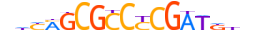 TF7L1.H13INVITRO.2.S.C motif logo (TCF7L1 gene, TF7L1_HUMAN protein)