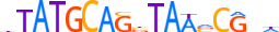 TIGD3.H13INVITRO.0.PSGIB.A motif logo (TIGD3 gene, TIGD3_HUMAN protein)