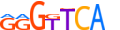 VDR.H13INVITRO.1.PS.A motif logo (VDR gene, VDR_HUMAN protein)