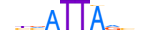 VENTX.H13INVITRO.0.SM.B motif logo (VENTX gene, VENTX_HUMAN protein)