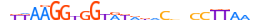 ZN276.H13INVITRO.0.SM.B motif logo (ZNF276 gene, ZN276_HUMAN protein)