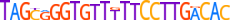 ZN443.H13INVITRO.0.P.D motif logo (ZNF443 gene, ZN443_HUMAN protein)