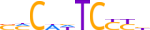 ZN480.H13INVITRO.1.P.D motif logo (ZNF480 gene, ZN480_HUMAN protein)