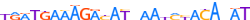 ZN558.H13INVITRO.0.P.D motif logo (ZNF558 gene, ZN558_HUMAN protein)