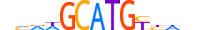 ZNF292.H13INVITRO.0.PSG.A motif logo (ZNF292 gene, ZN292_HUMAN protein)