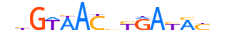 ZNF32.H13INVITRO.0.SM.B motif logo (ZNF32 gene, ZNF32_HUMAN protein)