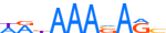 ZNF35.H13INVITRO.1.P.D motif logo (ZNF35 gene, ZNF35_HUMAN protein)