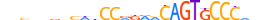 ZNF493.H13INVITRO.0.PSGI.A motif logo (ZNF493 gene, ZN493_HUMAN protein)