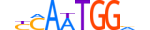 ZNF516.H13INVITRO.0.S.C motif logo (ZNF516 gene, ZN516_HUMAN protein)