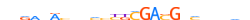 ZNF665.H13INVITRO.0.PSG.A motif logo (ZNF665 gene, ZN665_HUMAN protein)