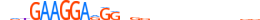 ZNF813.H13INVITRO.0.SG.A motif logo (ZNF813 gene, ZN813_HUMAN protein)