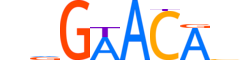 ANDR.H13INVIVO.1.S.C reverse-complement motif logo (AR gene, ANDR_HUMAN protein)