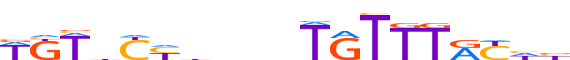 ANDR.H13INVIVO.2.P.B motif logo (AR gene, ANDR_HUMAN protein)