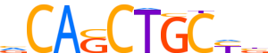 ASCL2.H13INVIVO.0.PSM.A motif logo (ASCL2 gene, ASCL2_HUMAN protein)