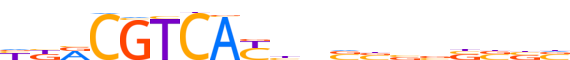 ATF1.H13INVIVO.1.P.B reverse-complement motif logo (ATF1 gene, ATF1_HUMAN protein)