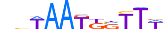 BARX1.H13INVIVO.0.P.C motif logo (BARX1 gene, BARX1_HUMAN protein)