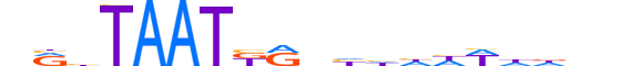 BARX1.H13INVIVO.1.S.B motif logo (BARX1 gene, BARX1_HUMAN protein)