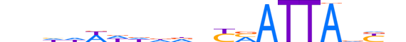 BARX1.H13INVIVO.1.S.B reverse-complement motif logo (BARX1 gene, BARX1_HUMAN protein)