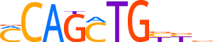 BHA15.H13INVIVO.0.P.B reverse-complement motif logo (BHLHA15 gene, BHA15_HUMAN protein)