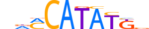 BHA15.H13INVIVO.1.SM.B motif logo (BHLHA15 gene, BHA15_HUMAN protein)