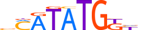 BHA15.H13INVIVO.1.SM.B reverse-complement motif logo (BHLHA15 gene, BHA15_HUMAN protein)