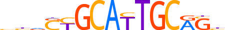 CAMTA2.H13INVIVO.0.PSGI.A reverse-complement motif logo (CAMTA2 gene, CMTA2_HUMAN protein)