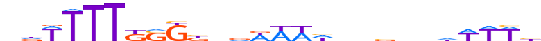 CASZ1.H13INVIVO.0.SGI.D motif logo (CASZ1 gene, CASZ1_HUMAN protein)
