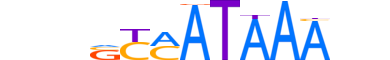 CDX1.H13INVIVO.1.S.D reverse-complement motif logo (CDX1 gene, CDX1_HUMAN protein)